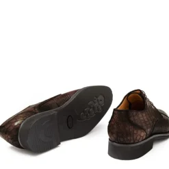 Buty męskie Skóra gładka z krokodyla Kawowy